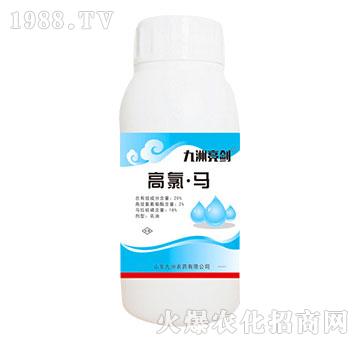 20%�����R-��������-�읙����