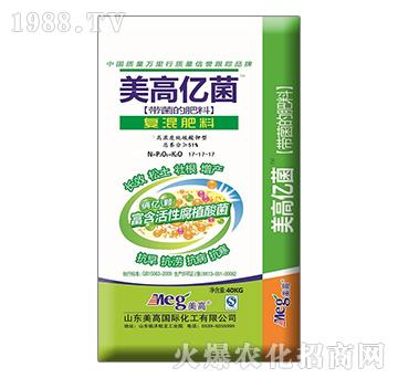 ���߃|���ͻ����17-17-17-����