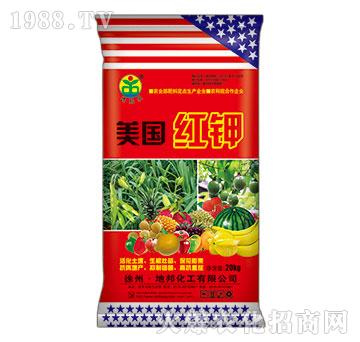 美國紅鉀-地邦泉