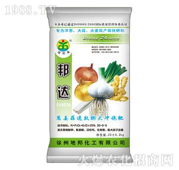 蔥姜蒜速效膨大沖施肥-邦達(dá)-地邦泉