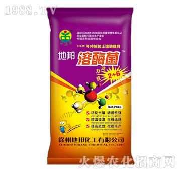 地邦溶酶菌-地邦泉