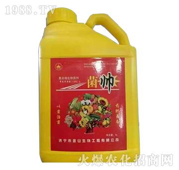 �����ͺ�΢�������-��ɽ����