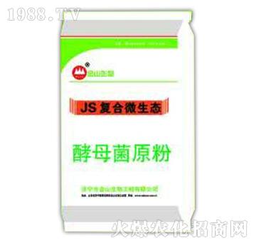 ��ĸ��ԭ��-JS�ͺ�΢���B(t��i)-��ɽ����