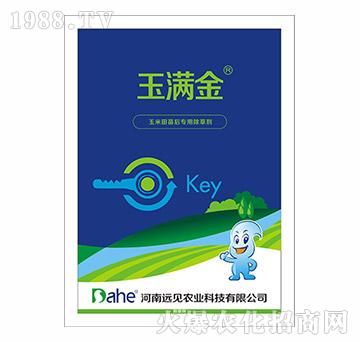 ����������ó��݄�-