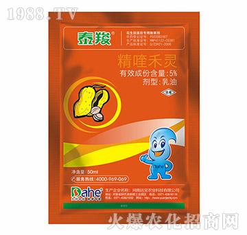 5%��୺��`-̩��-�h