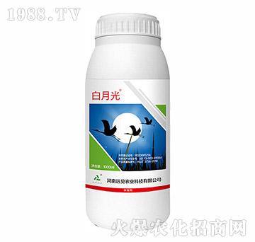 10%��x��-���¹�-�hҊ�r(n��ng)�I(y��)