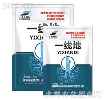 ΢�����(f��)�Ϸ��������-һ����-���r(n��ng)˹�_