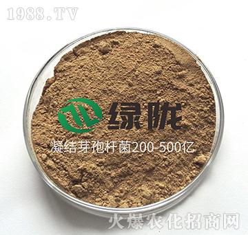 ���Yѿ�ߗU��-�G�]����