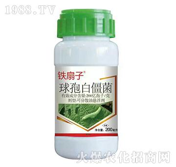 200億孢子每克球孢白僵菌-鐵扇子-富利達(dá)