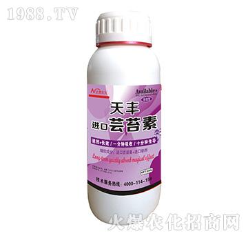 �M(j��n)���|̦��-�����r(n��ng)��