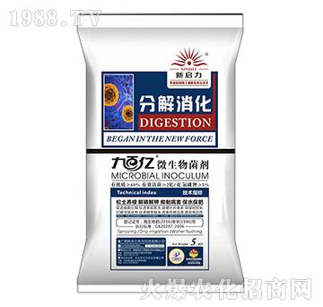 ΢�������-�ֽ�����-����