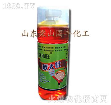 矮大壯-梁山國(guó)豐