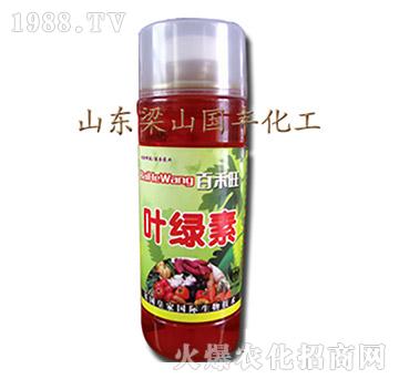 葉綠素（瓶）-梁山國(guó)豐