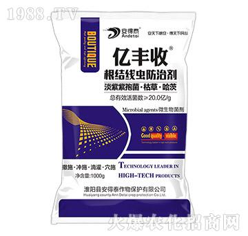 ���Y(ji��)���x���΄�-�|�S��-����̩