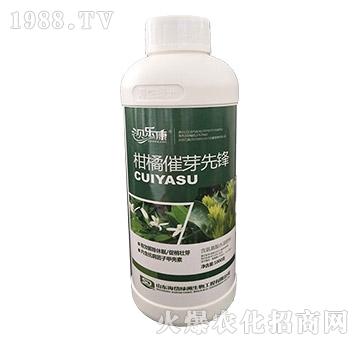 柑橘催芽先鋒-貝樂康-海岱綠洲