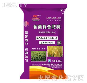 �����ͺϷ���16-20-6-(li��n)��μ�