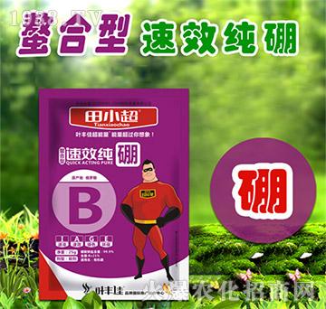 速效純硼-田小超