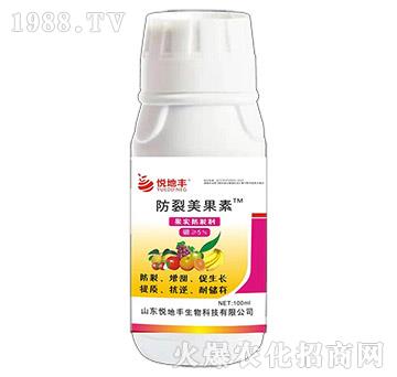 ����������-�������ф�-�����S