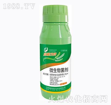 ΢�������-�����ɰ�С��-��̩���