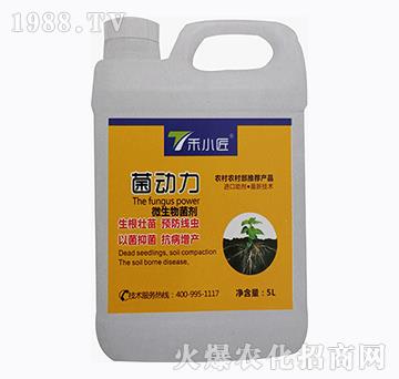 ΢�������-����(d��ng)��-��С��-��֮��