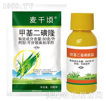 �׻�����¡+����һ������}-���˰ل�