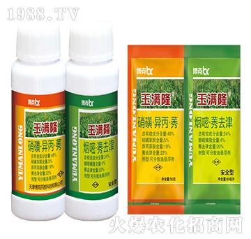 46%硝磺·異丙·莠+24%煙嘧·莠去津-博克百勝