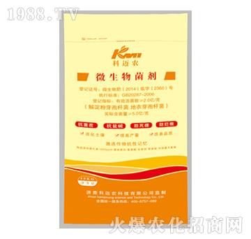 ΢�������-���~�r(n��ng)