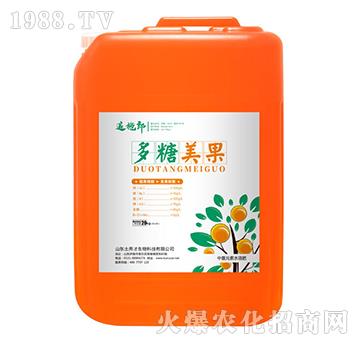 ��������-׷ʩ��-�����