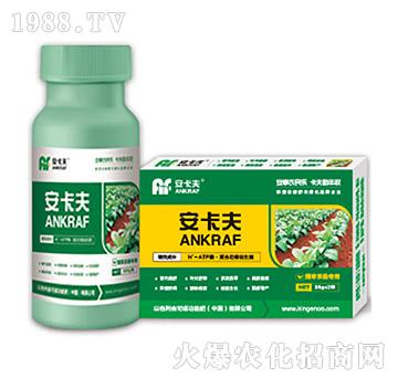 ���ݲ�ɣ��(zhu��n)���~���-������