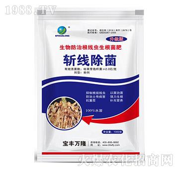 �ؾ�����-���S�f(w��n)¡