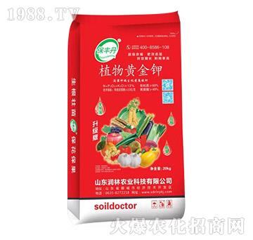 60%ֲ���S���-���S��-�����r�I(y��)