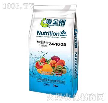 ��H1̖(h��o)24-10-20-������-�¸�����