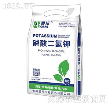 ��������-��(��i)��