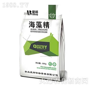 ����s΢̼��������̼���-���徫-��(��i)��