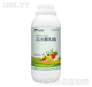 云臺(tái)素乳酯螯合乳液-云臺(tái)大化