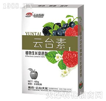 云臺(tái)素I-云臺(tái)大化