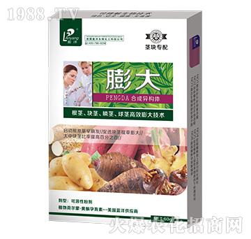 莖塊專配膨大-云臺(tái)大化