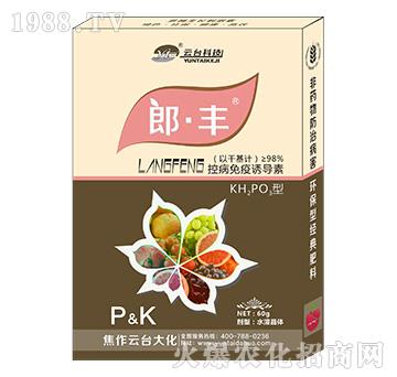 郎·豐-云臺(tái)大化