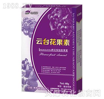 60g云臺(tái)花果素-云臺(tái)大化