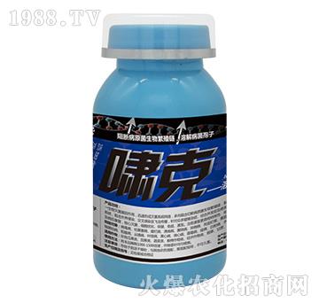 嘯克-云臺(tái)大化