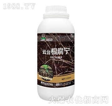 云臺(tái)根腐寧-云臺(tái)大化