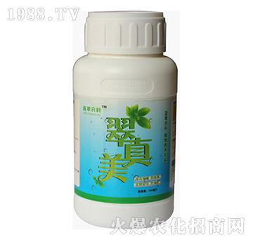 ������-�{���r��