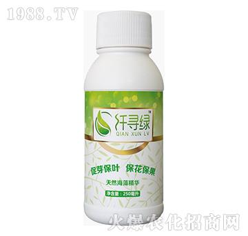 ��Ȼ���徫�A-�w���G-�{���r��