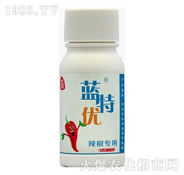 ��������-�{�؃�(y��u)-�{���r��