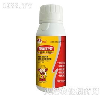 ������׃-ϲ���r(n��ng)-ϲ�m��