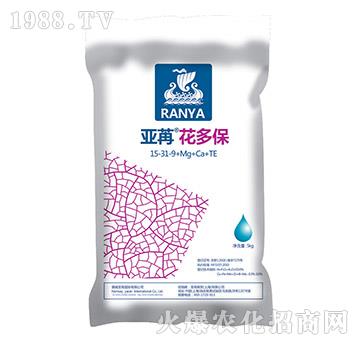 ���ۻ��ౣ-���ۇ�(gu��)�H