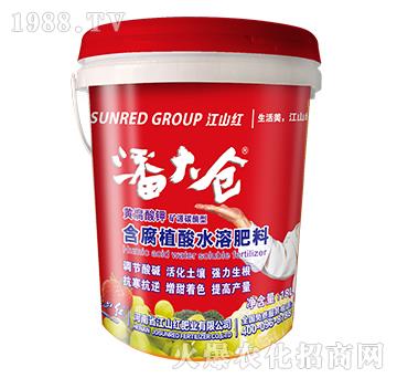 礦源談酶型含腐植酸水溶肥料-潘大倉-江山紅