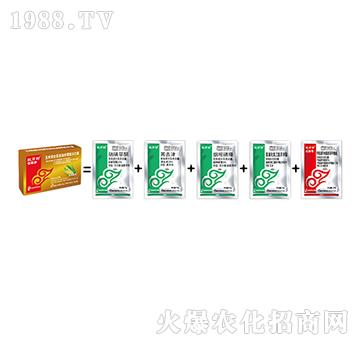 ���ך��x����-�x�݃�-���˹����r��