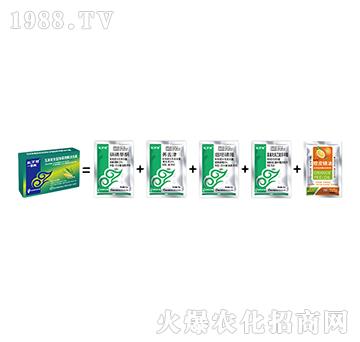 ����ȫ�ܳ��݄�-һ���e-���˹����r(n��ng)��