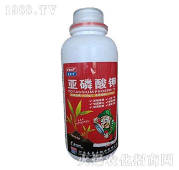 �������-���R�S